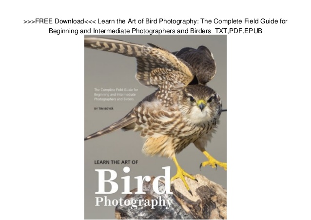 The Art Of Bird Photography Pdf Download
